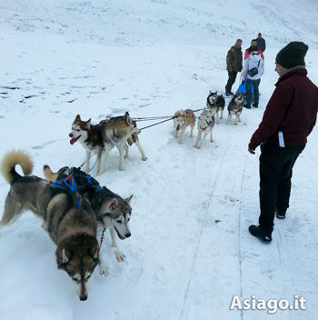 Week end all'Italiana Natale in casa d'altri