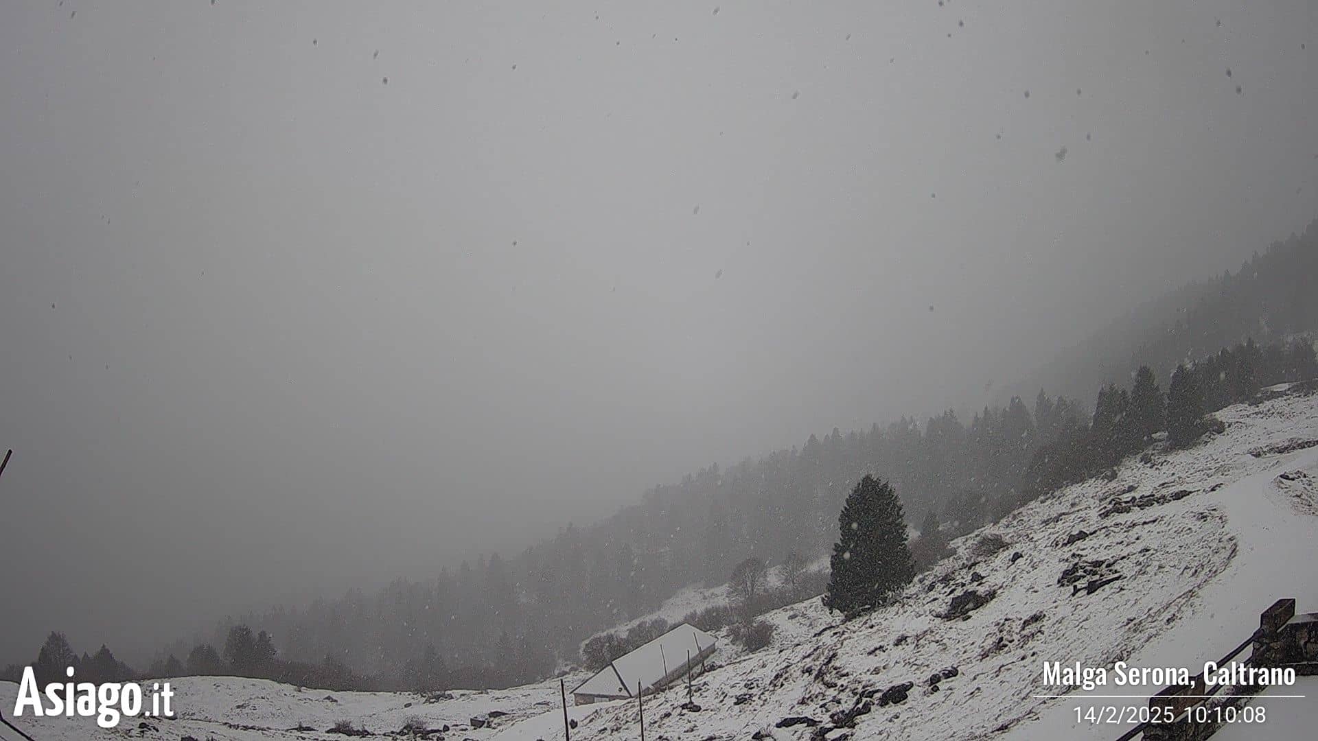 Webcam Live Malga Serona
