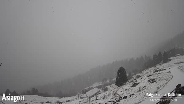 Webcam live da Malga Serona