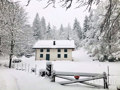 L'Agriturismo Nel Bosco immerso nella neve