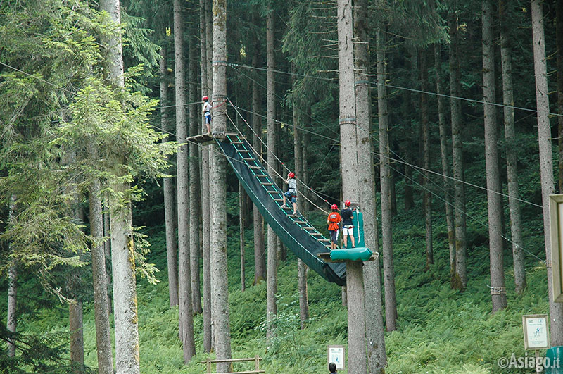 Agility forest asiago prezzi Agility forest asiago prezzi