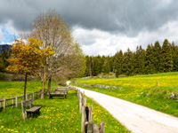 L'itinerario verso Val Galmarara