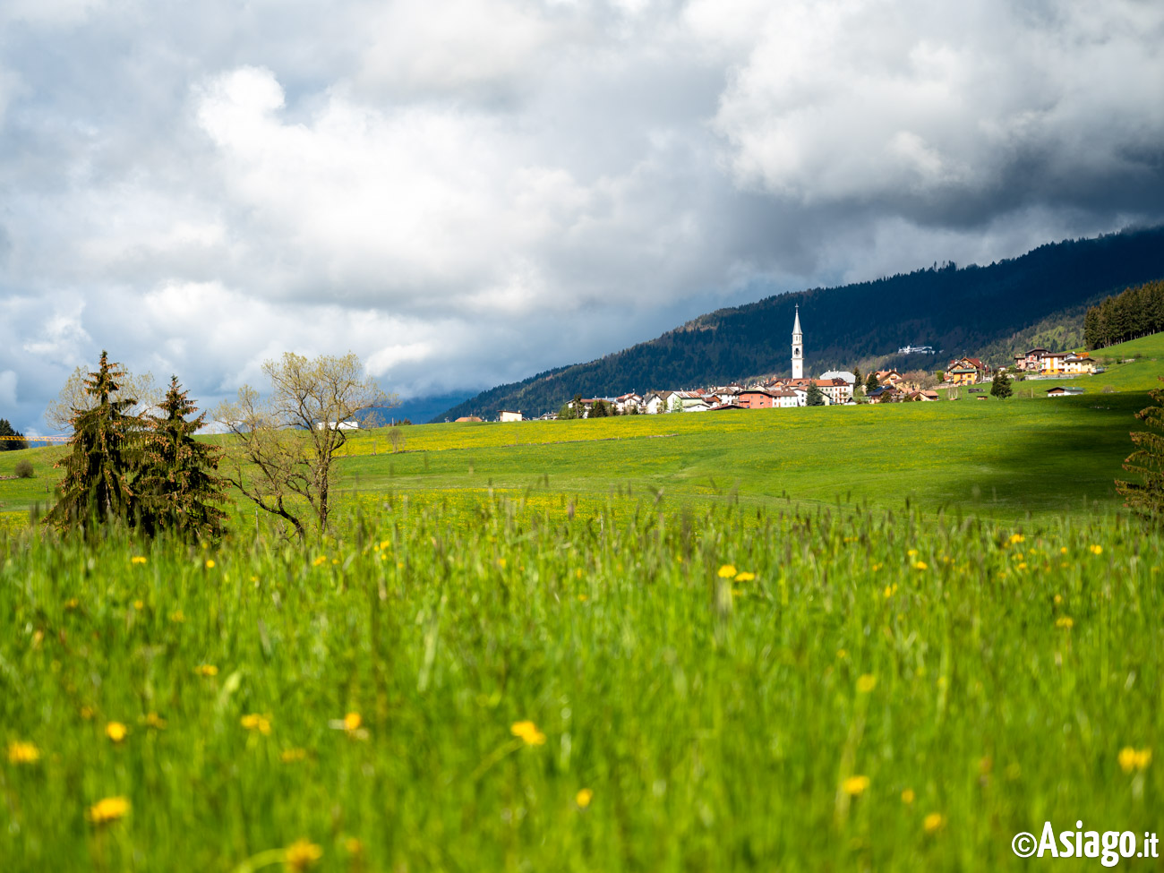 Camporovere - Foto B&B Larici Rooms - Altopiano di Asiago 7 Comuni