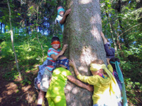 Giochi nel bosco