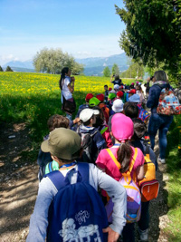 In passeggiata nella natura di montagna