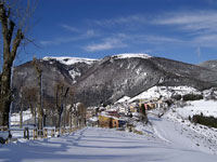 Paesaggio invernale foza