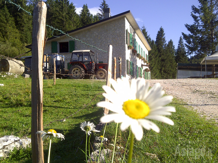 Malga Camporossignolo