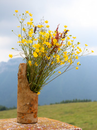 Decorazione floreale Malga Dosso di Sotto 