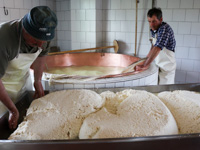 Estrazione della cagliata per la produzione di Formaggio Asiago DOP