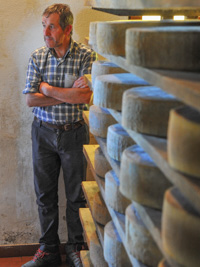 Asiago Dop in stagionatura a Malga Dosso di Sotto