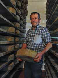 Forme di Asiago Dop stagionato Malga Dosso di Sotto