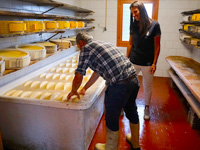 Produzione delle forme di formaggio