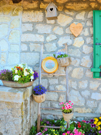 Formaggio Asiago DOP e fiori a Malga Larici di Sotto