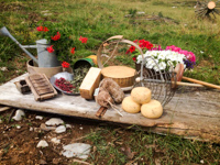 Formaggi e soppresse di Malga Larici di Sotto