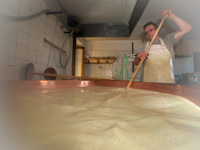 Produzione di formaggio a Malga Larici di Sotto