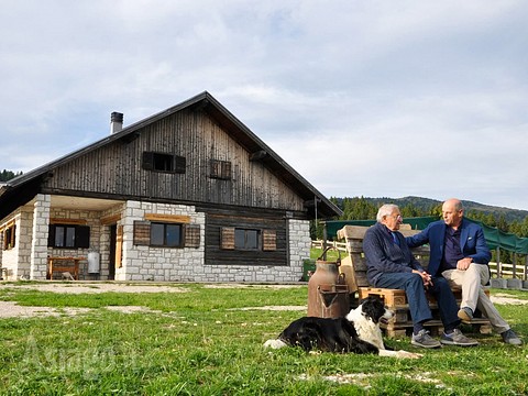 Malga Marcai produttrice del formaggio Asiago DOP