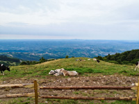 Lo splendido panorama verso la pianuta veneta