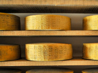 Formaggio Asiago DOP in stagionatura