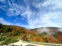 Panorama autunnale dall'agriturismo