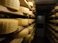 Forme di Asiago Dop di Malga Larici di Sotto