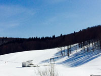 Paesaggio invernale biancoia