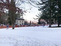Pista del Parco millepini