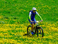 In E-bike sui prati fioriti dell'Altopiano